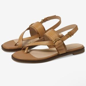 Cole Haan Anica Lux Buckle Sandals